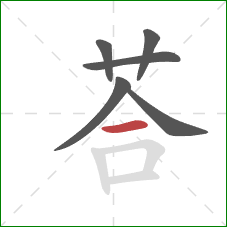 荅的笔顺第6画：横