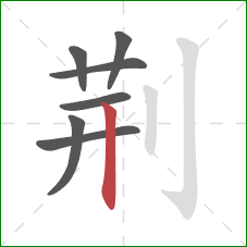 荆的笔顺第7画：竖