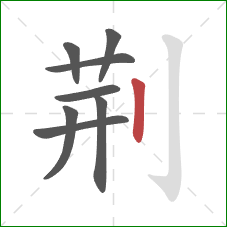 荆的笔顺第8画：竖