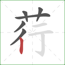 荇的笔顺第6画：竖