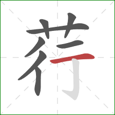 荇的笔顺第8画：横