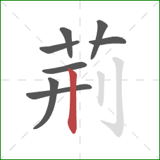 荊的笔顺第8画：竖