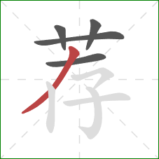 荐的笔顺第5画：撇