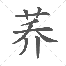 荞的笔顺 荞的笔顺