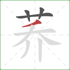 荞的笔顺第4画:撇 荞的笔顺第4画:撇