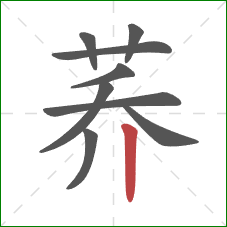 荞的笔顺第9画:竖 荞的笔顺第9画:竖