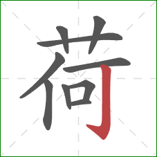 荷的笔顺第10画：竖钩