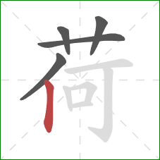 荷的笔顺第5画：竖