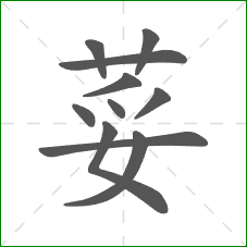 荽的笔顺