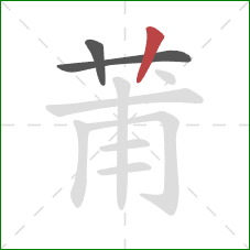 莆的笔顺第3画:竖 莆的笔顺第3画:竖