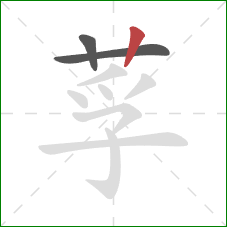 莩的笔顺第3画：竖