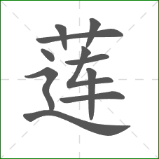 莲的笔顺