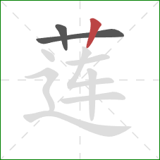 莲的笔顺第3画：竖