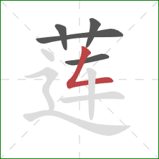 莲的笔顺第5画：撇折