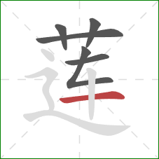 莲的笔顺第6画：横