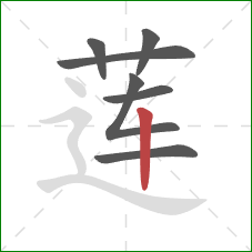 莲的笔顺第7画：竖