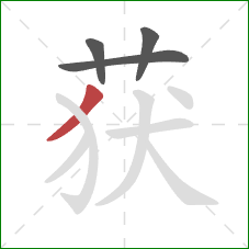 获的笔顺第4画：撇