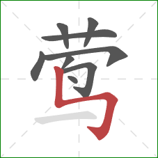 莺的笔顺第9画：竖折折钩