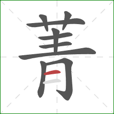 菁的笔顺第10画:横 菁的笔顺第10画:横