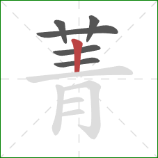 菁的笔顺第6画:竖 菁的笔顺第6画:竖