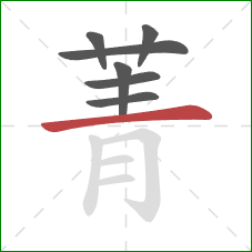 菁的笔顺第7画:横 菁的笔顺第7画:横