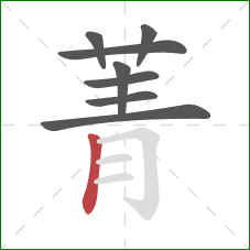 菁的笔顺第8画:竖 菁的笔顺第8画:竖
