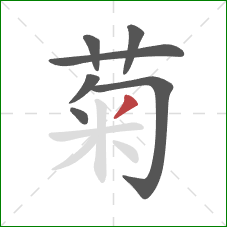 菊的笔顺第7画：撇