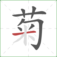 菊的笔顺第8画：横