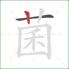 菌的笔顺第2画：竖