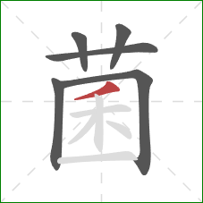 菌的笔顺第6画：撇