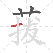 菝的笔顺第4画：横