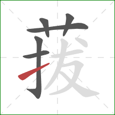 菝的笔顺第6画：提