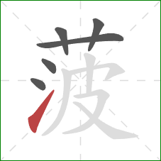 菠的笔顺第6画：提