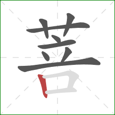 菩的笔顺第9画：竖