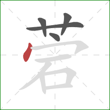 菪的笔顺第5画：点