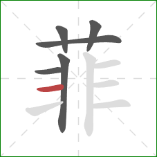 菲的笔顺第6画：横