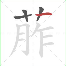 葄的笔顺第4画：横