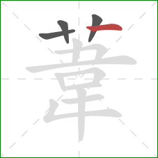 葦的笔顺第4画：横
