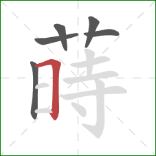 蒔的笔顺第6画：横