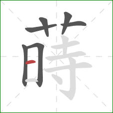 蒔的笔顺第7画：横