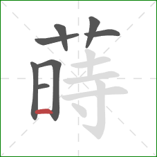 蒔的笔顺第8画：横