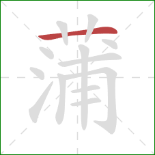 蒲的笔顺第1画：横