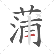 蒲的笔顺第11画：横