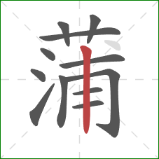 蒲的笔顺第12画：竖