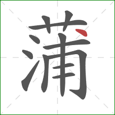 蒲的笔顺第13画：点