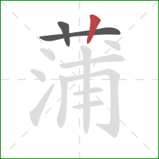 蒲的笔顺第3画：竖