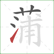 蒲的笔顺第6画：提