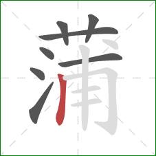 蒲的笔顺第8画：竖