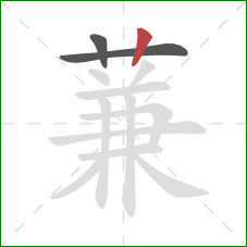 蒹的笔顺第3画：竖