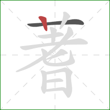 蓍的笔顺第2画：竖